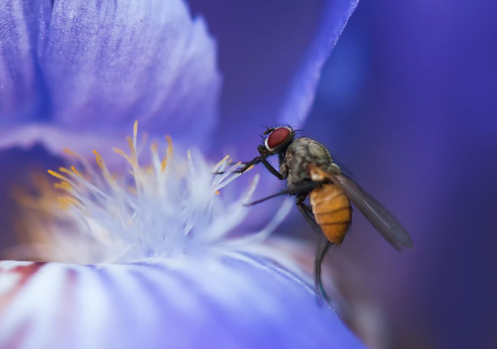 Photograph by Олег Тыркин