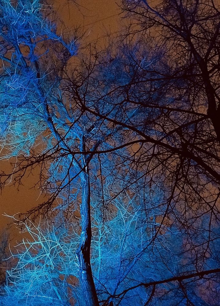 Новогодняя иллюстрация