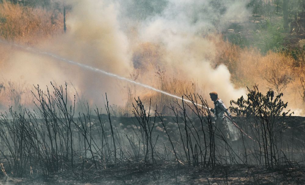 Photograph by Farshad Yazdankhah