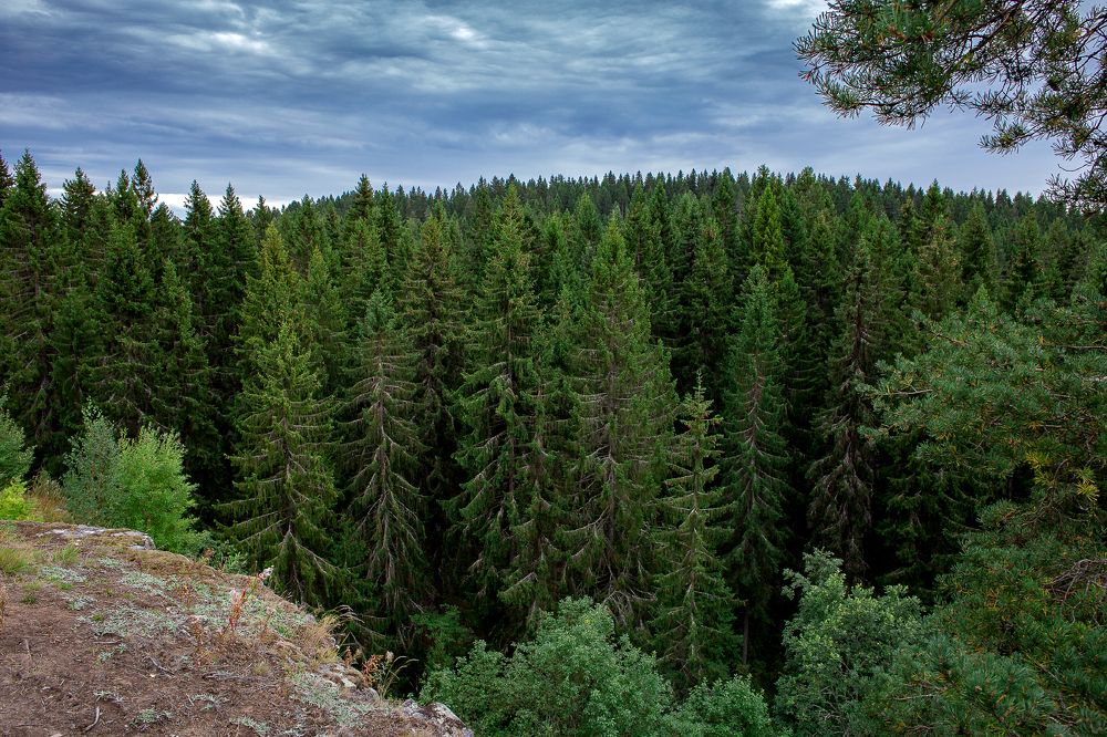 Photograph by Ангелина Ильичева