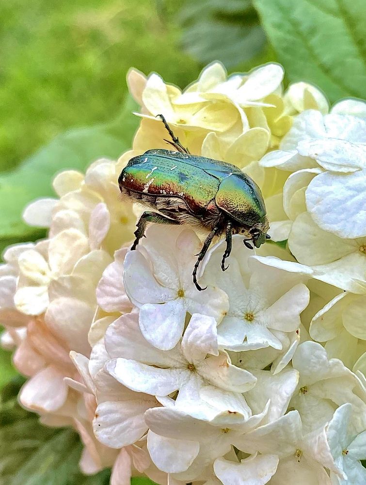 Фотография автора Александр Заикин