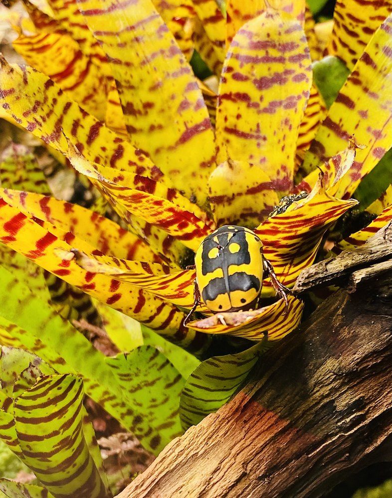 Фотография автора Александр Заикин