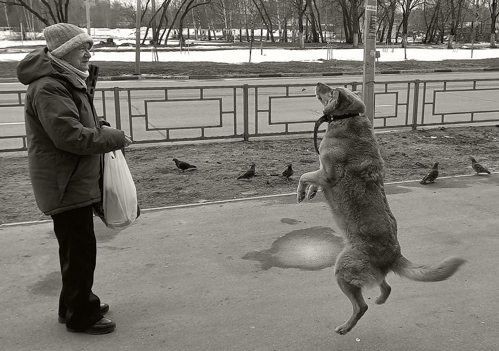 Photograph by Ирина Архипова