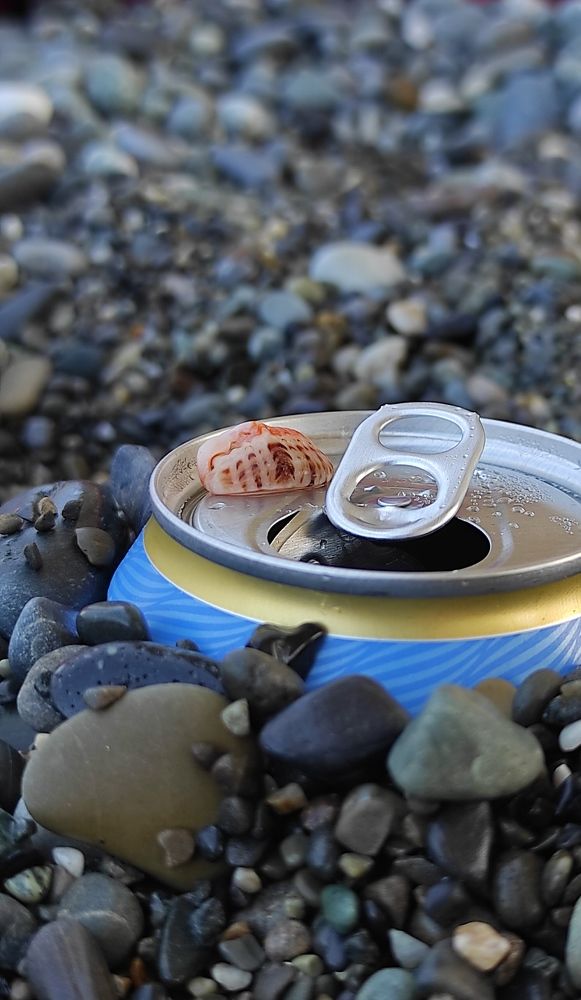 Photograph by Луиза Баширова