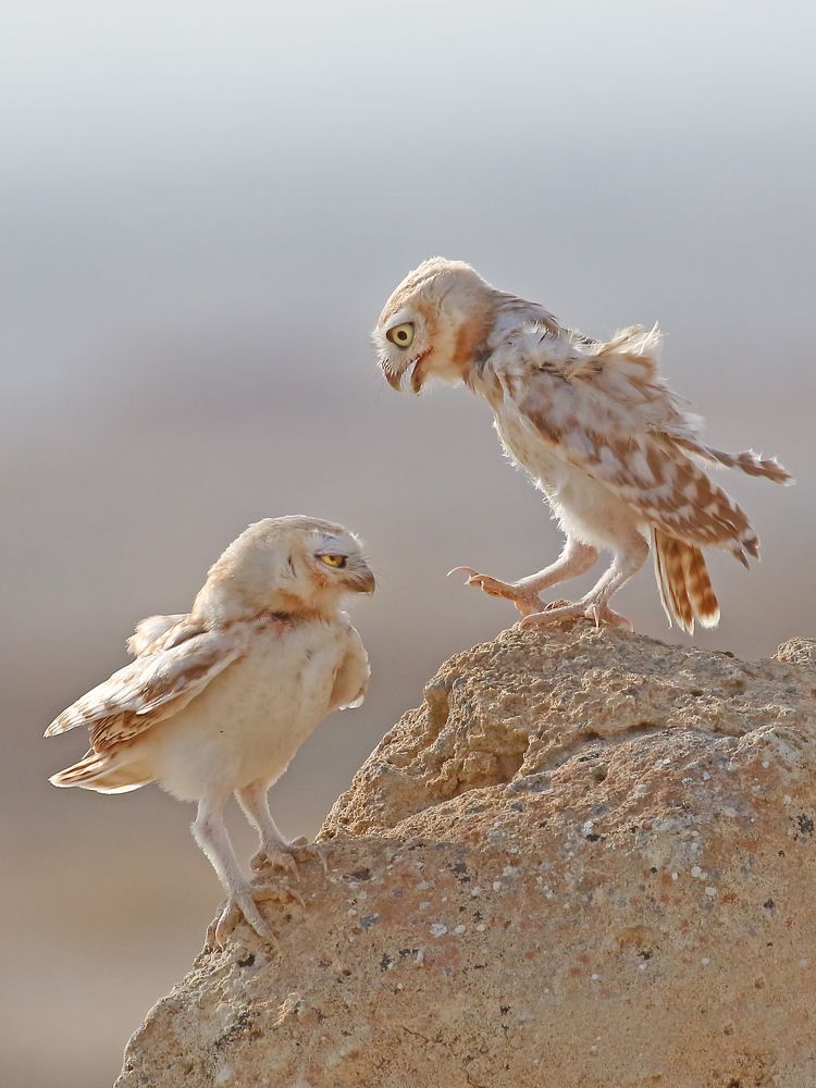 Person-to-person......!!!