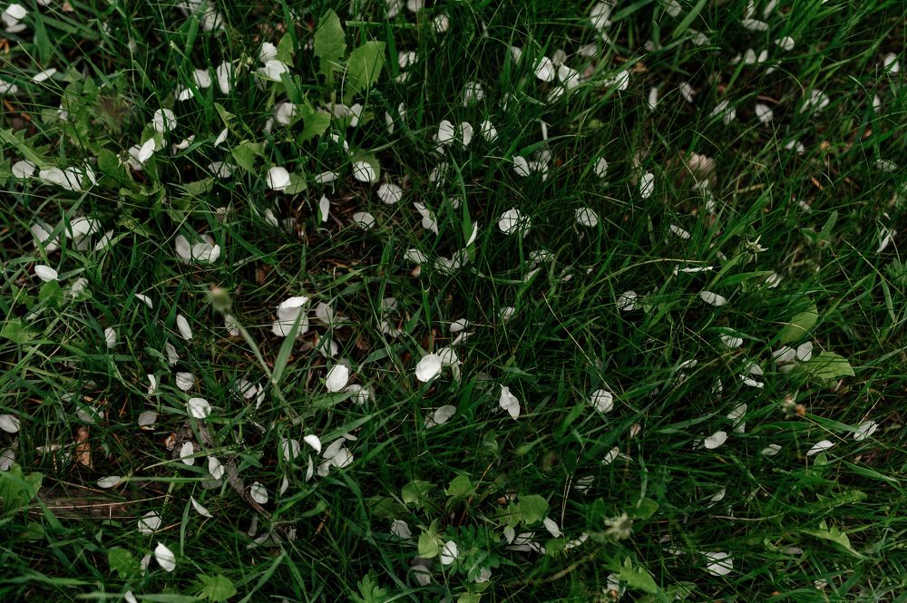 Photograph by Юлия Торгашова