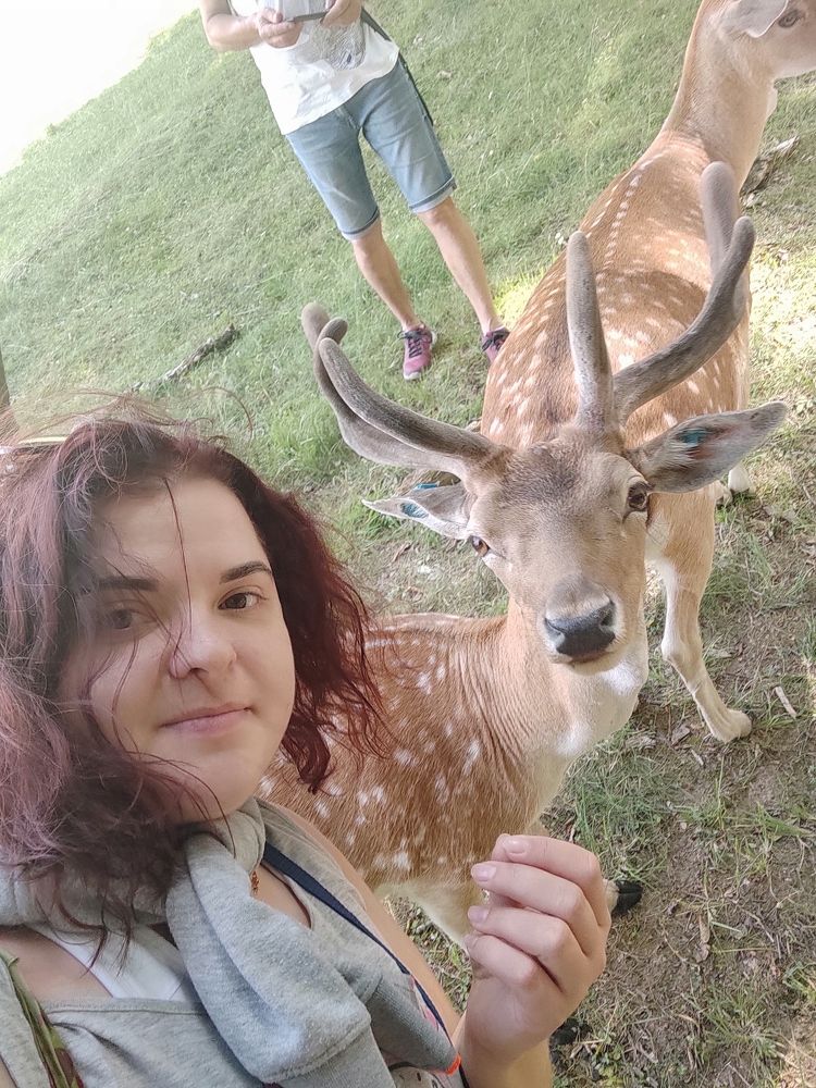 Photograph by Лысых Галина