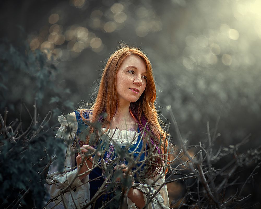 Фотография автора Carlos Gomes