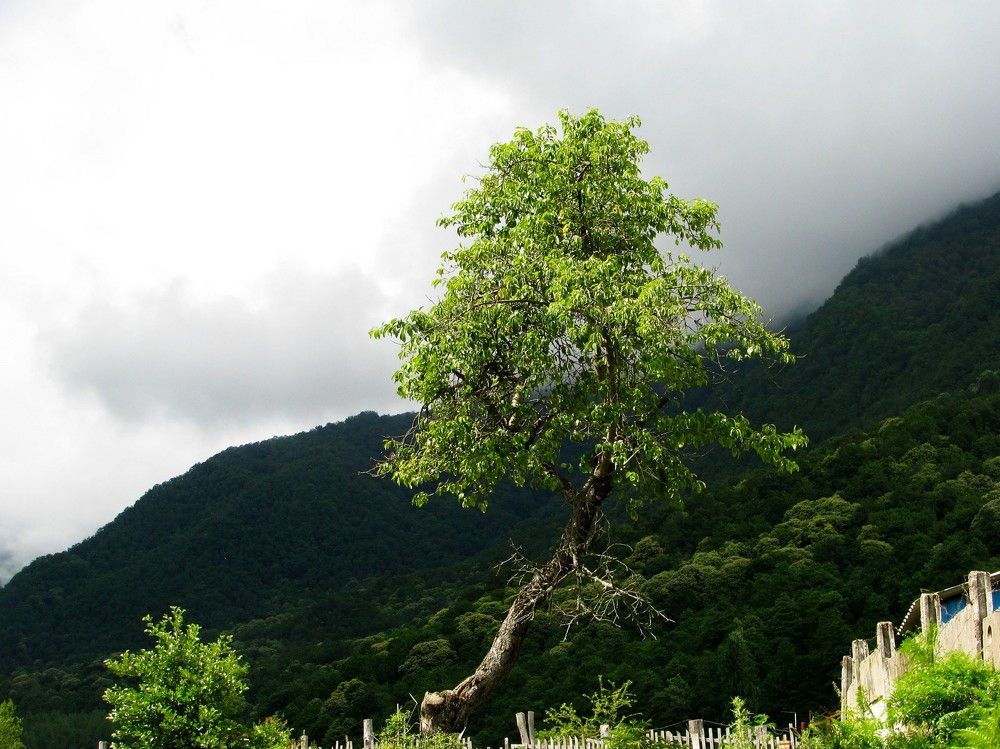 Photograph by Алексей Логинов