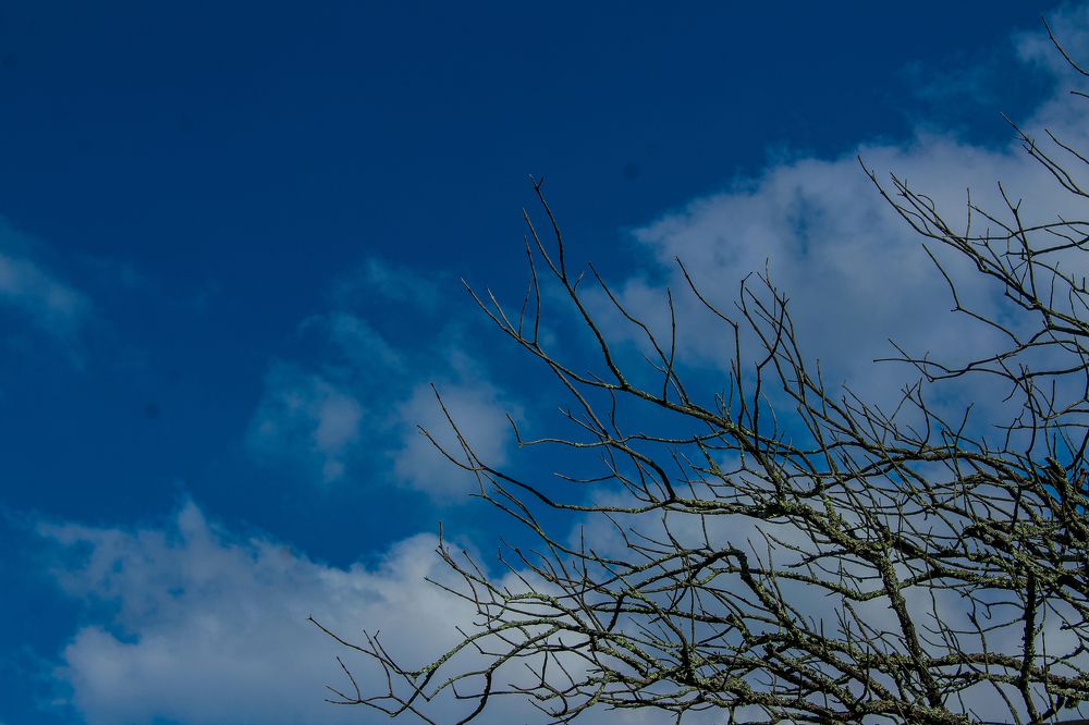 Фотография автора Raúl Emiliano Bazet Najera