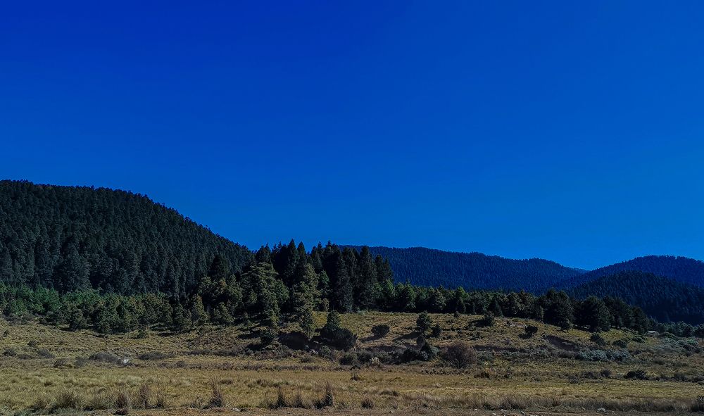 Фотография автора Raúl Emiliano Bazet Najera