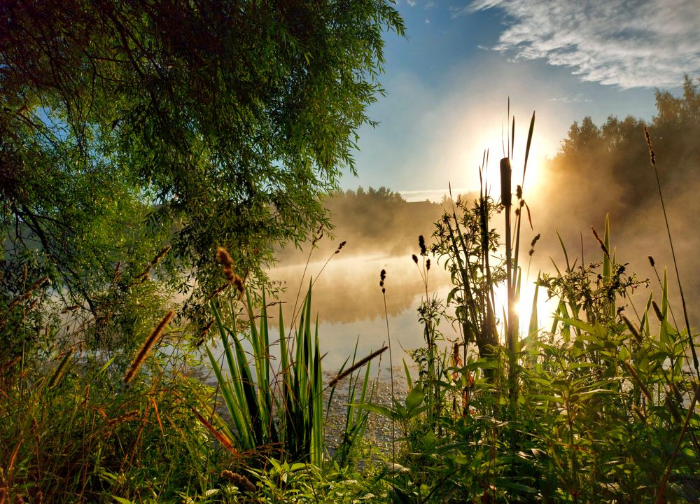 Прощальный июльский рассвет.