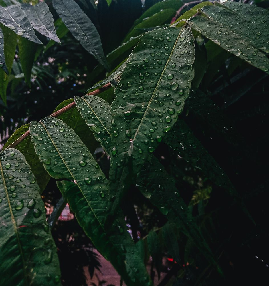 Фотография автора Юлия Гантимурова