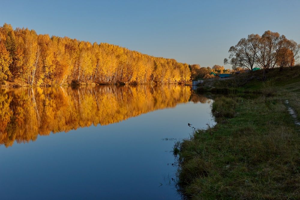 ОСЕННИЕ КРАСКИ