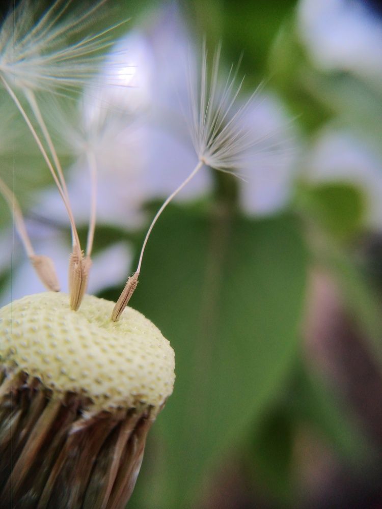 Photograph by Ирина Алпацкая