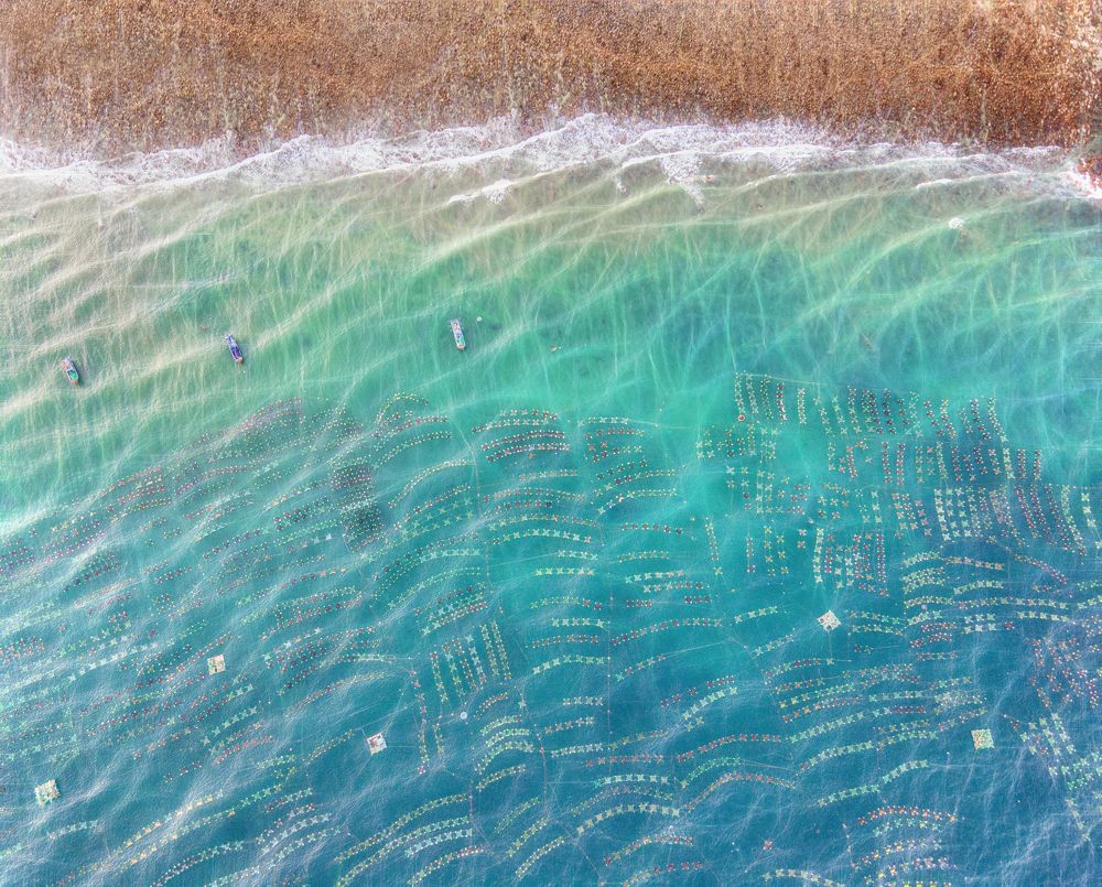 Photograph by Tran Khoa