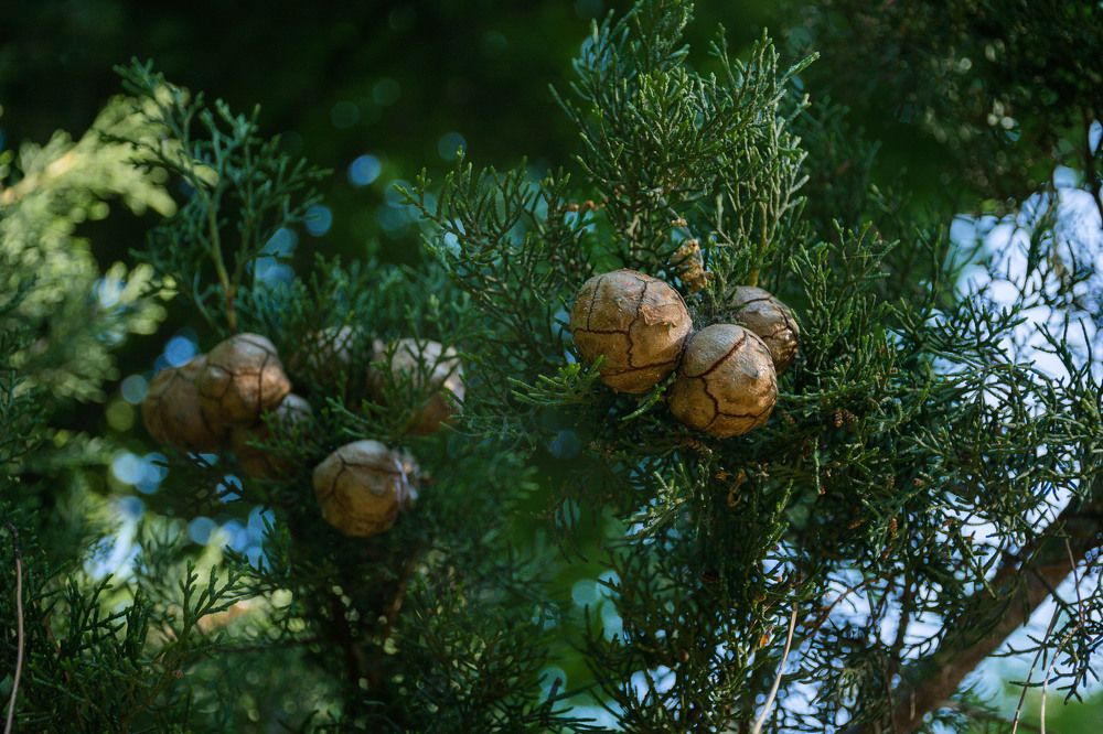 Photograph by Татьяна Пахатинская