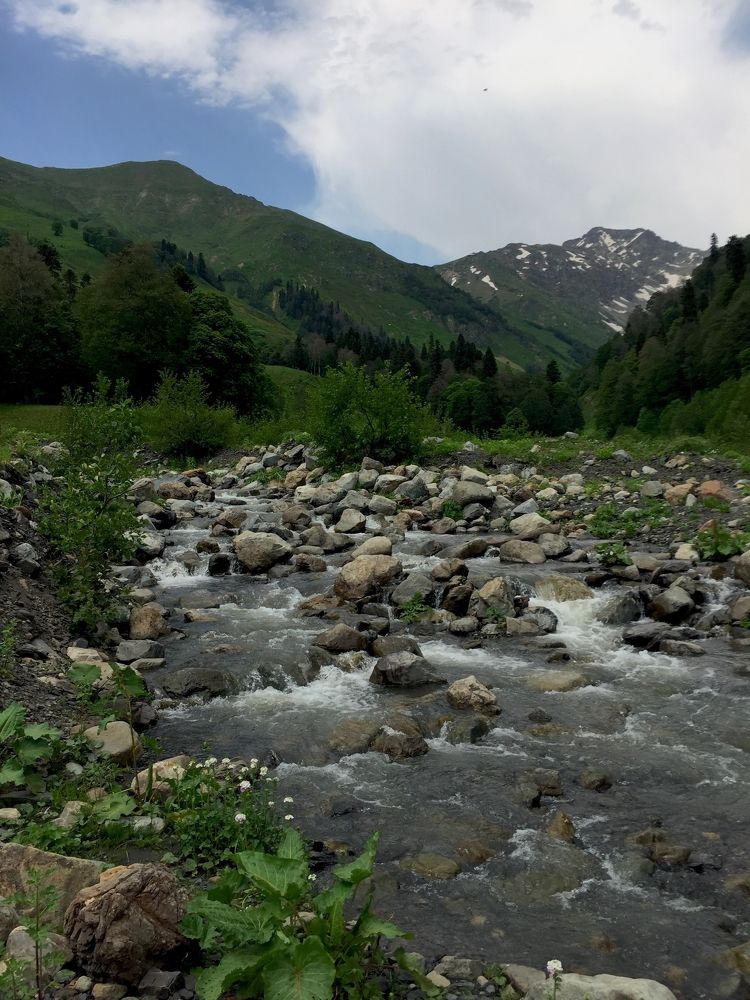 Photograph by Дарья