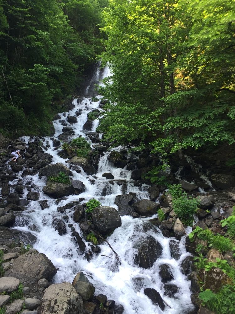 Photograph by Дарья