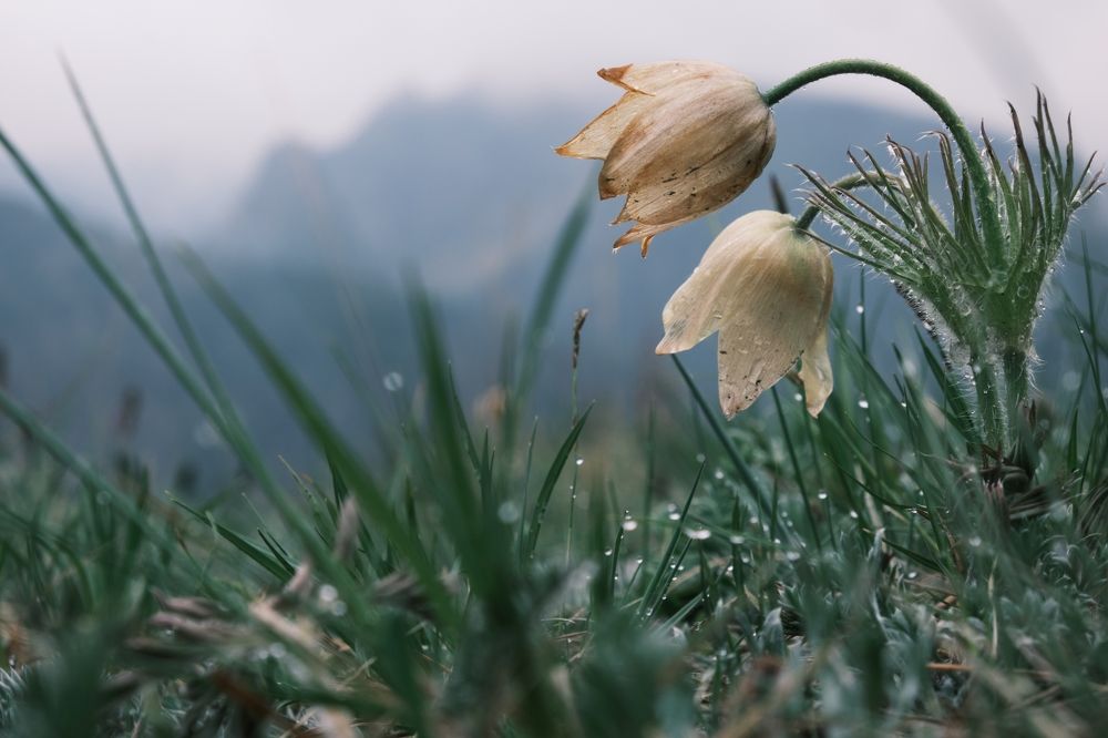 Photograph by Багурский Алексей