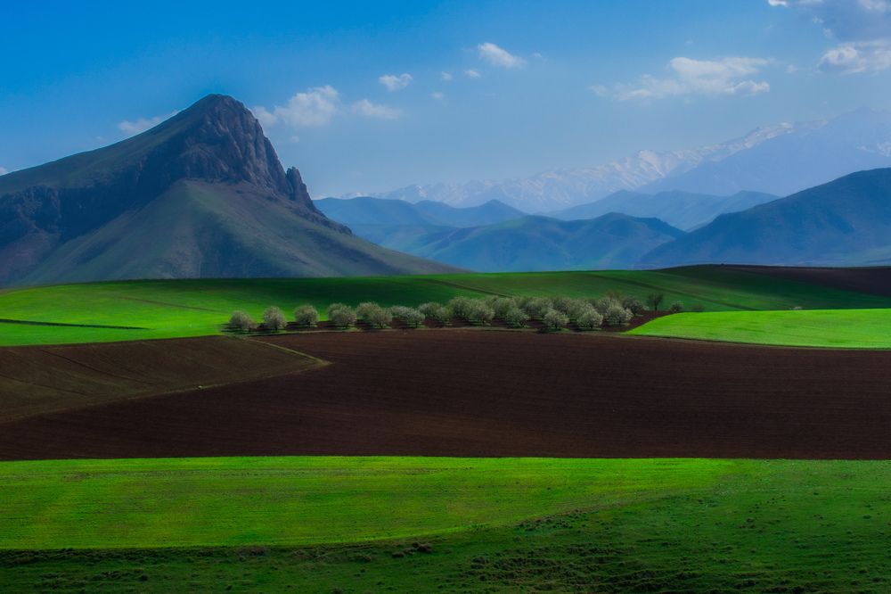 Фотография автора Alipour mohammad