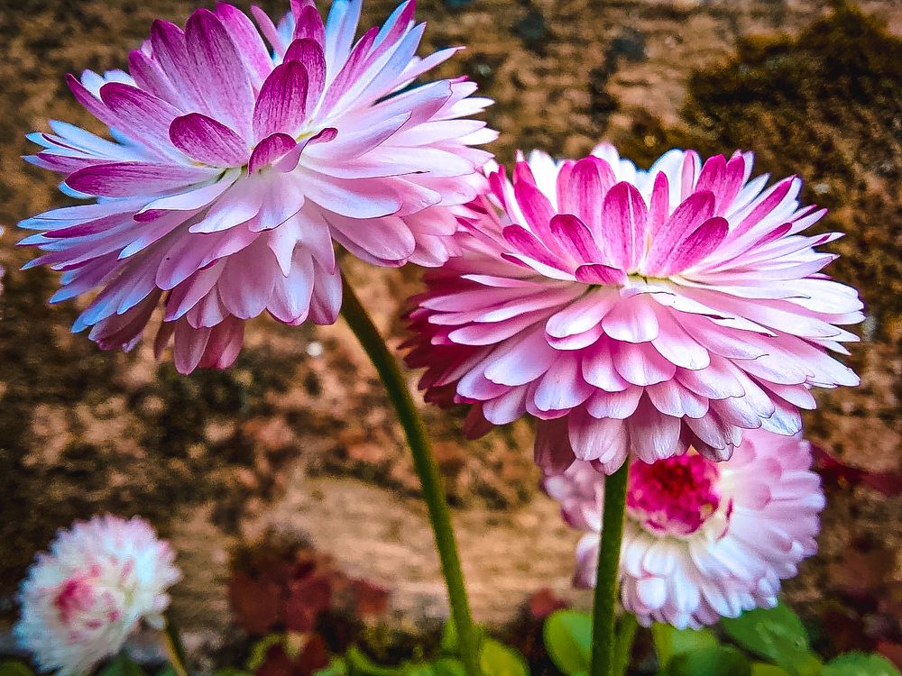 Photograph by Светлана Гринкевич