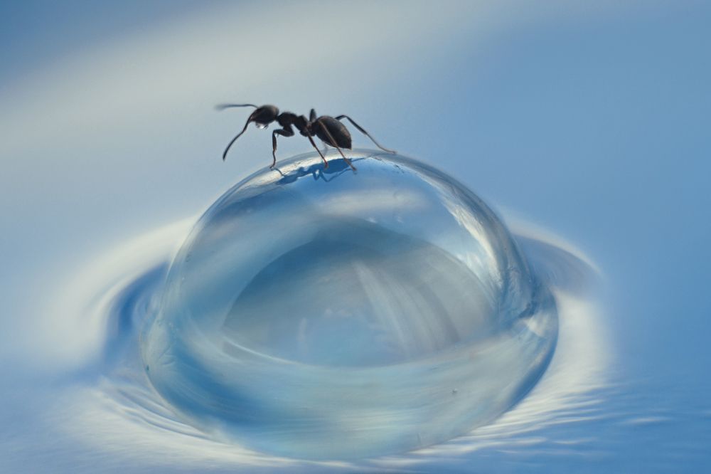 Photograph by Воинкова Ирина