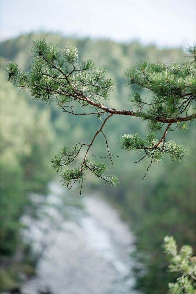 Photograph by Ольга Копылова