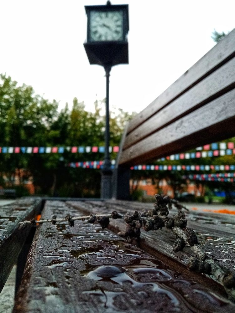 Photograph by Владимир Сушкин