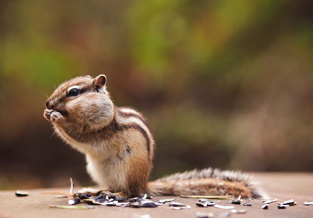 Photograph by Виктор Бабинцев