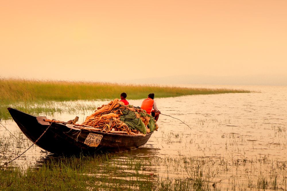 Photograph by Abhilash Biswal