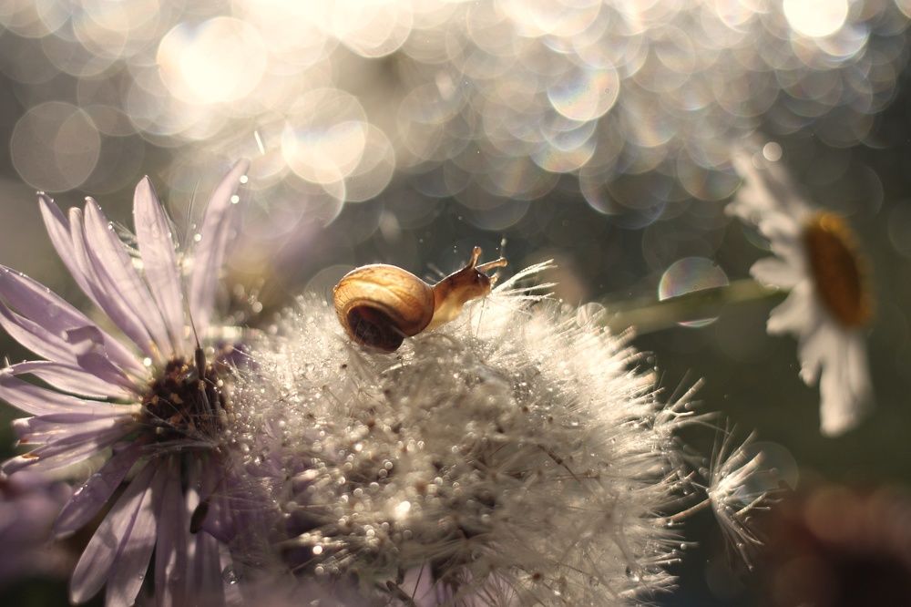 Невесомость