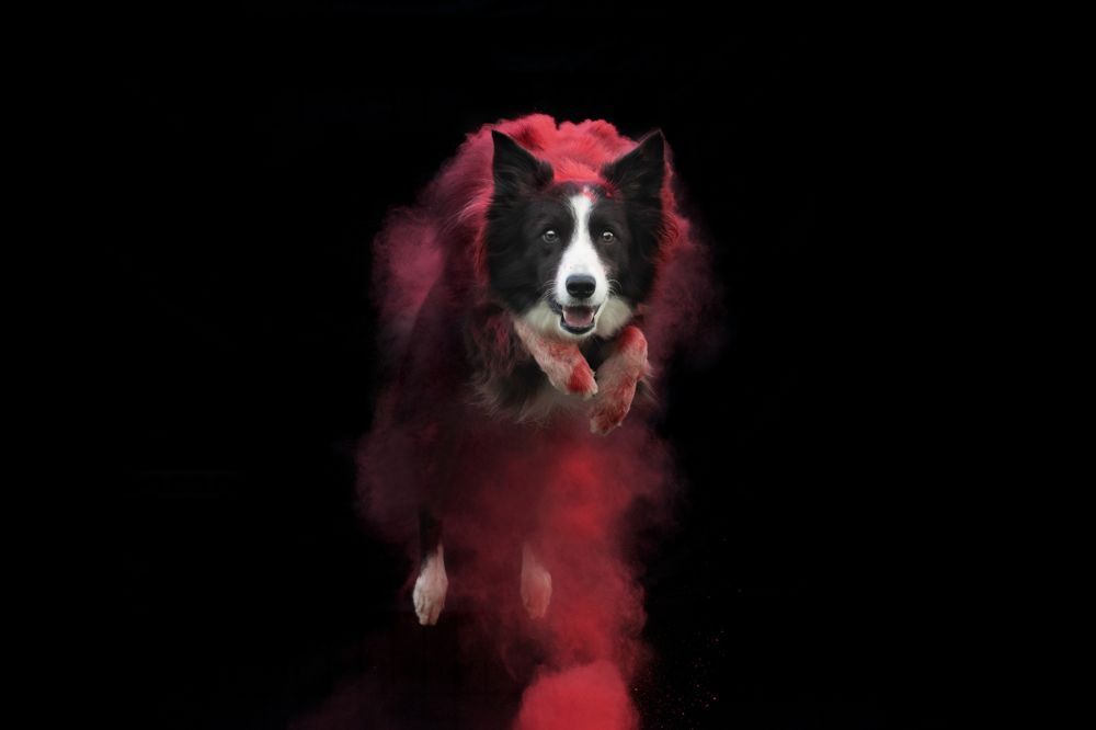 Photograph by leticia pascual garcia