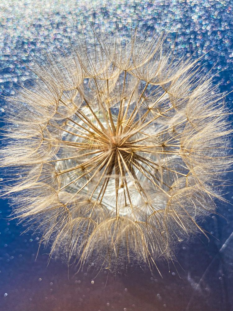 Photograph by Александра Гонтарь