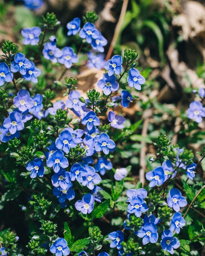 Фотография автора Oxana Yurasova