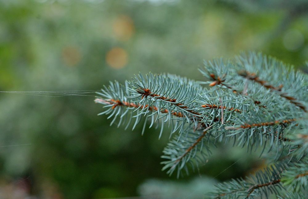 Photograph by Алексей Volg