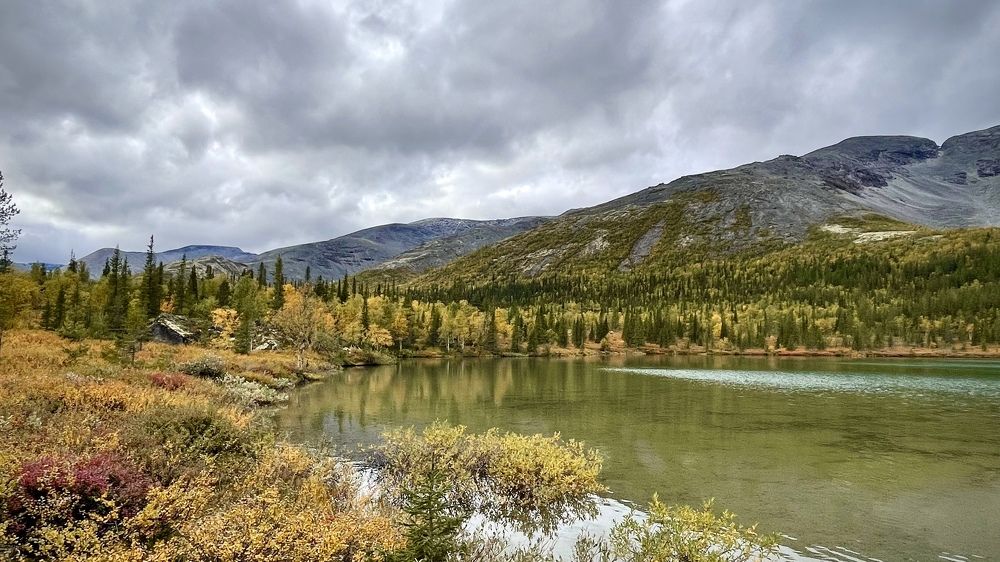 Фотография автора Юлия Шумейко