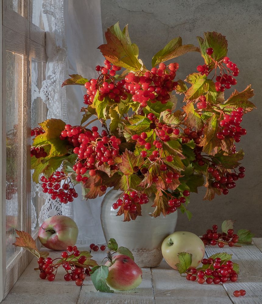 Калина красная.