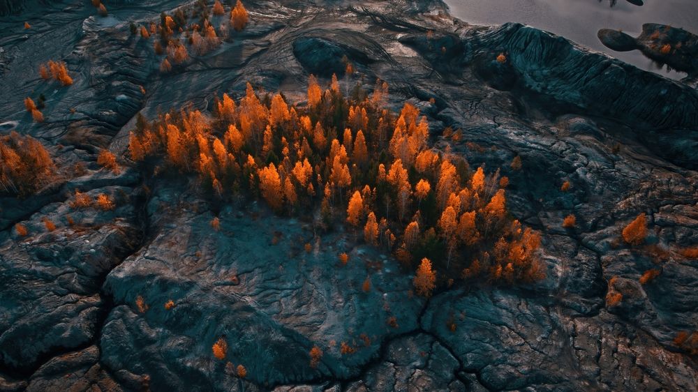 Фотография автора Евгений Кожин