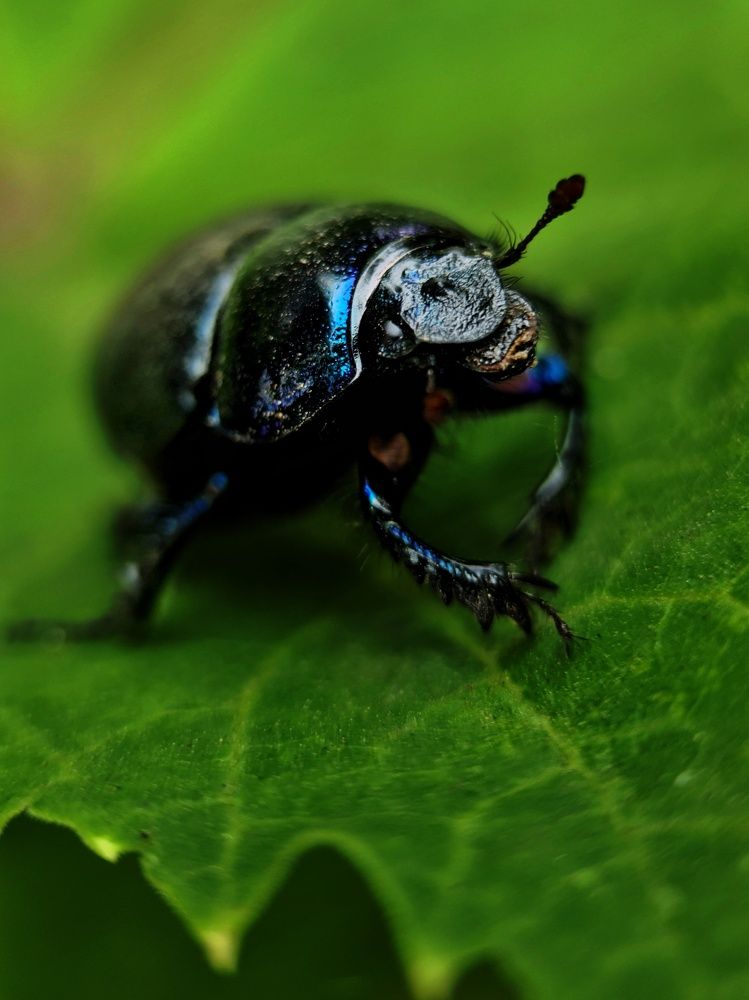 Photograph by Светлана Смирнова