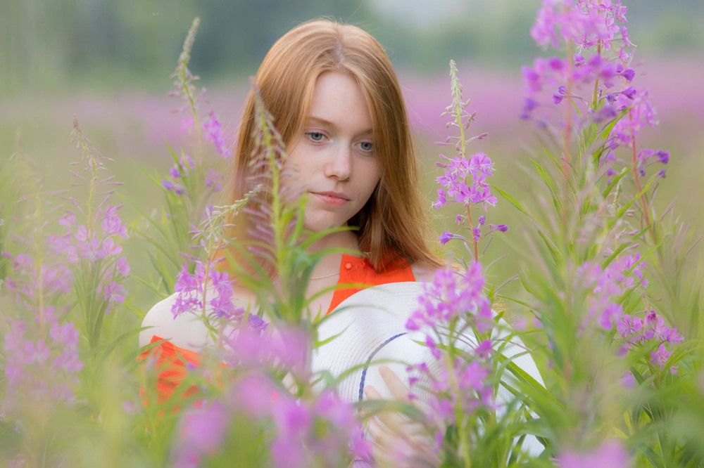 Photograph by Алексей Середенин