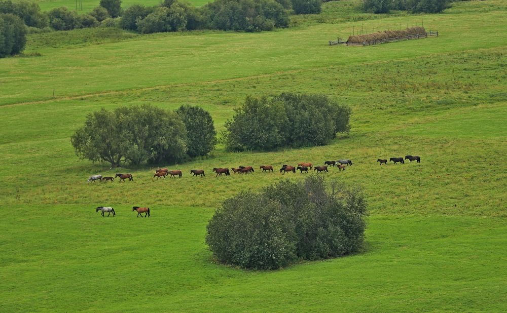 Фотография автора Юрий Кетель