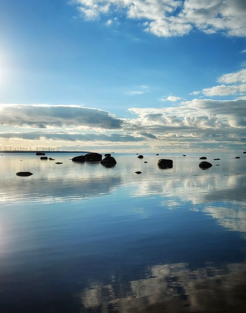 Фотография автора Alina Filimonova