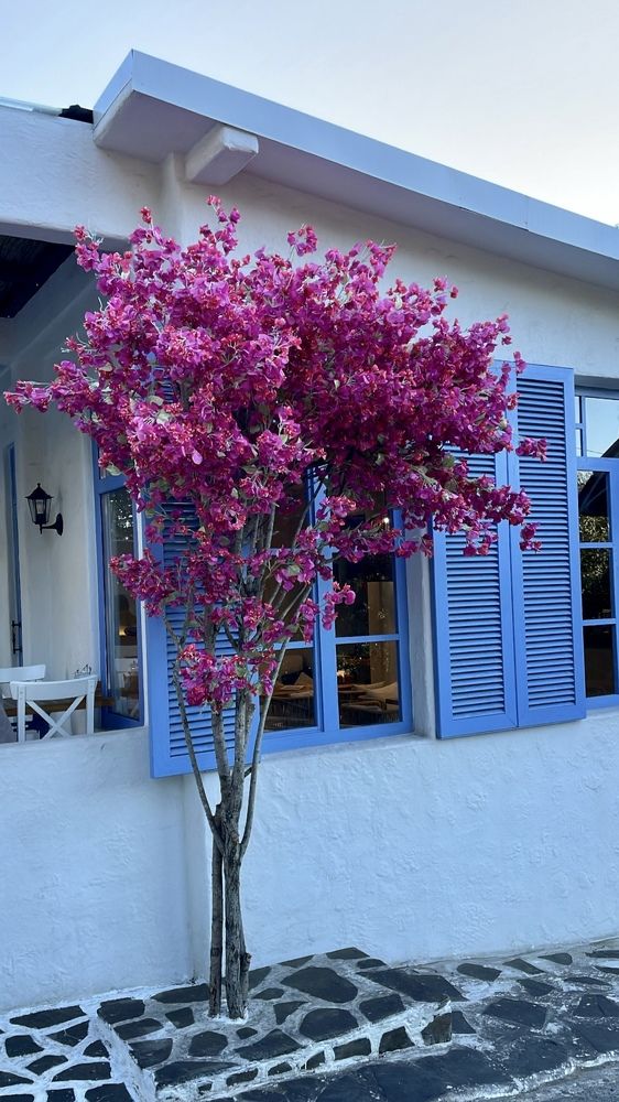 Photograph by Елена Горбунова