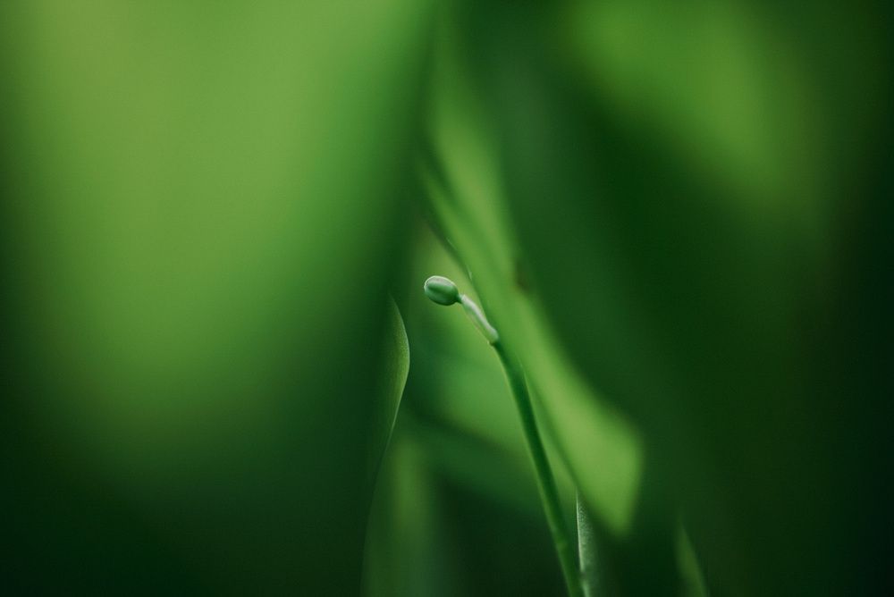 Фотография автора Алиса Чурчудесная