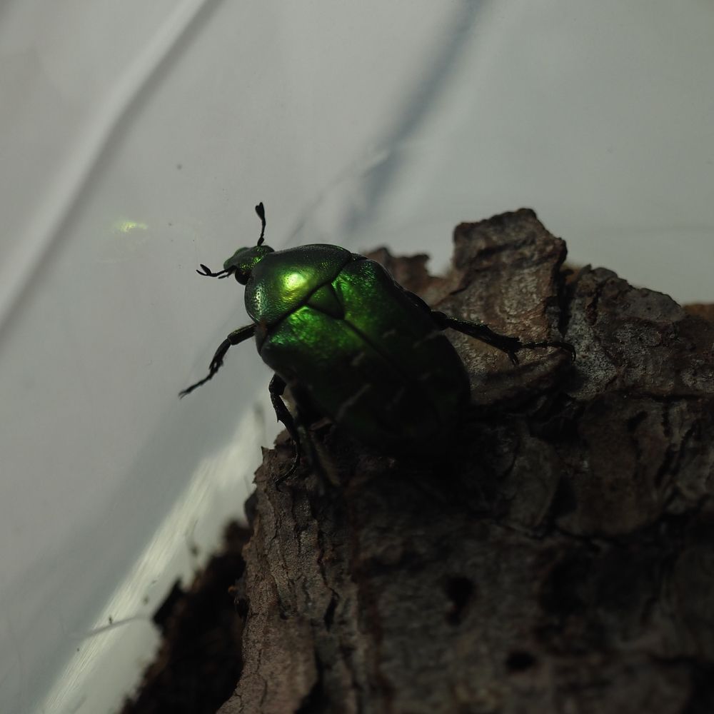 Фотография автора Бычков Валерий