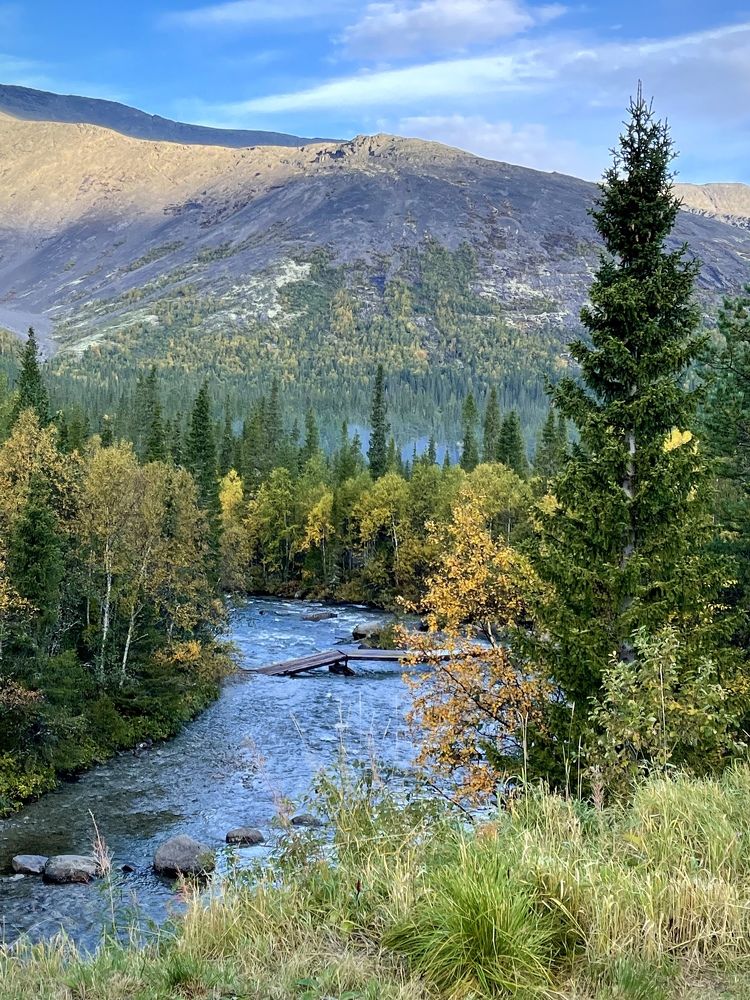 Фотография автора Юлия Шумейко