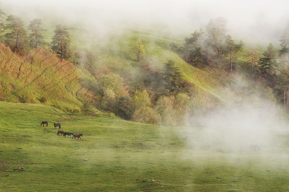 Photograph by Екатерина Рябкова