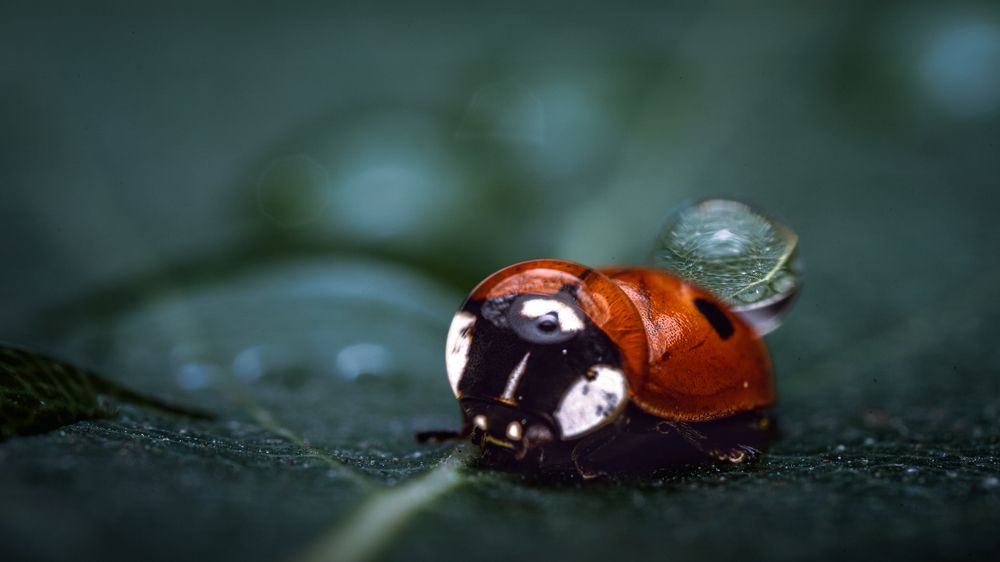 Photograph by Антон Дроздов