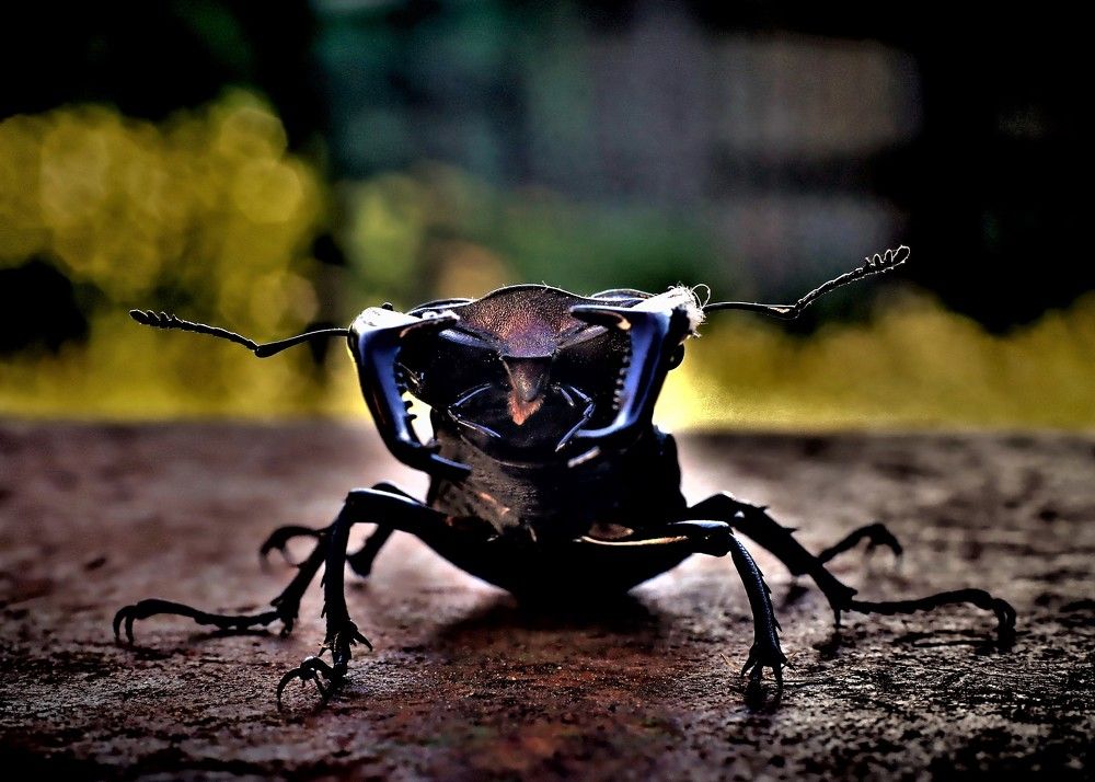 Photograph by Алексей Сиваков